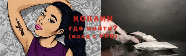 кокс Алексин