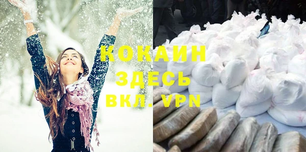 кокс Алексин