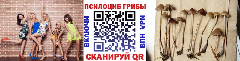 Галлюциногенные грибы Cubensis Анжеро-Судженск