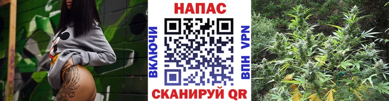 даркнет сайт кракен ссылки Бошки марихуана VHQ Анжеро-Судженск